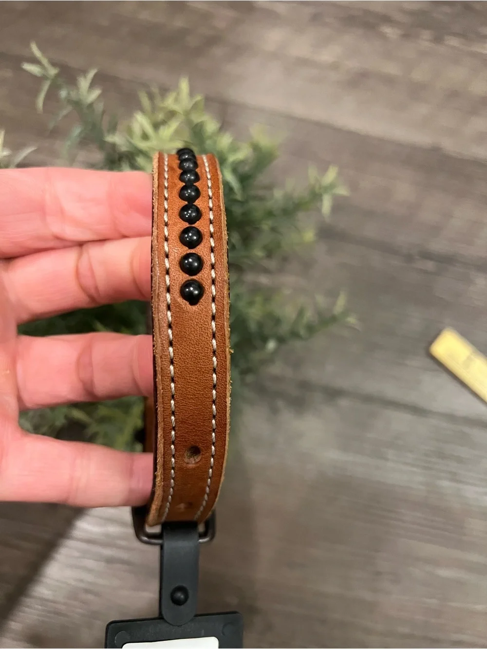 Outlaw Collection NWT Tan Leather Studded 5/8 11 Inch Dog Collar